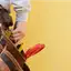 Handyman repair service in Erie, PA for home fixes and improvements